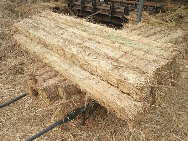 如何正確使用草支墊？